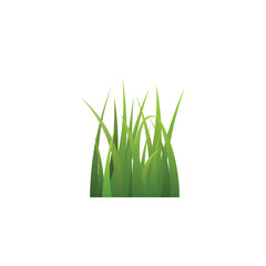 Summer green and lawn or meadaw grass realistic vector illustration isolated.