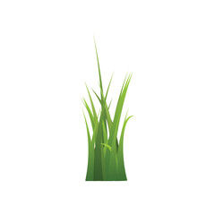 Bunch of green grass of different lengths flat style, vector illustration
