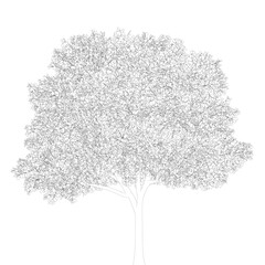 Outline of a detailed tree from black lines isolated on a white background. Vector illustration.