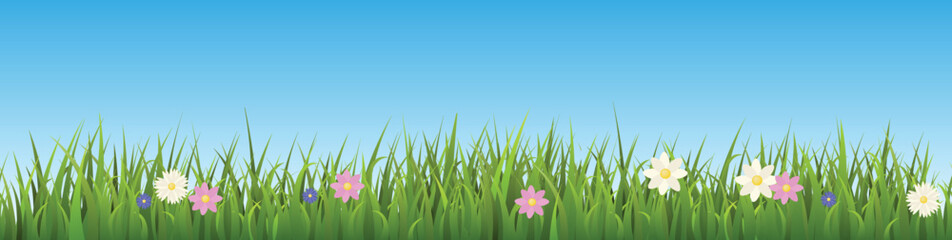 Seamless green grass border with colorful flowers flat style