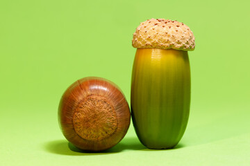 Acorn is a hard and clawed fruit with a nut of the chestnut type called pelit in the oak tree. Fresh and dried acorns.