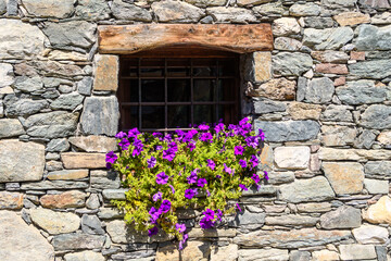 finestra fiorita 03 - fiori sul davanzale di una vecchia finestra con  trave in legno e muro in sassi