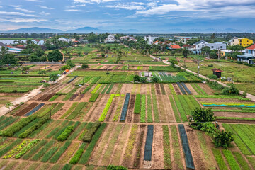 Fototapeta na wymiar Hoi An, Vietnam :Tra Que Vegetable Village view of Hoi An ancient town, UNESCO world heritage, at Quang Nam province. Vietnam. Hoi An is one of the most popular destinations in Vietnam