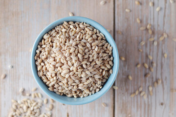 A bowl with raw barley seeds