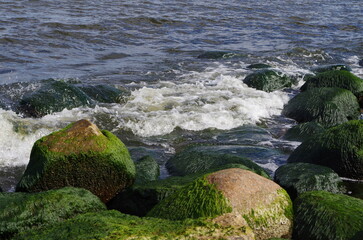 water and rocks