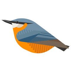 illustration of a  Eurasian Nuthatch Bird ,vector , png , svg , jpeg