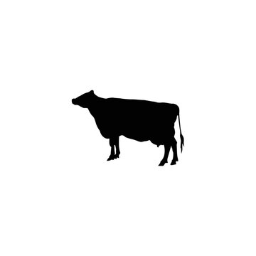 black cow logo