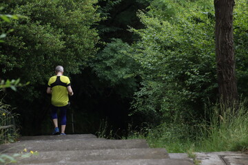 Walking in the park