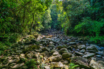 Fototapeta premium BEAUTIFUL LANDSCAPE PHOTOGRAPHY OF NGU HO OR FIVE LAKE IN BACH MA NATIONAL PARK, HUE, VIETNAM