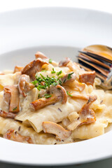cream sauce with chanterelles served with pasta