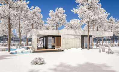 3d rendering of new concrete house in modern style with pool and parking for sale or rent and beautiful landscaping on background. The house has only one floor. Cool winter day with shiny white snow.