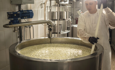Process of producing different varieties of cheese in industry. Cheese-making from natural milk