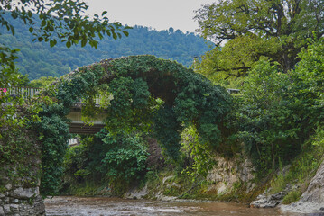 An ancient stone bridge, covered with ivy, over a mountain river.