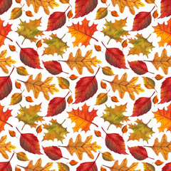 Seamless watercolor pattern. Autumn leaves. Red and orange colors.