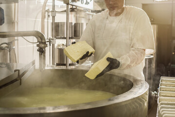 Man is a cheese maker in the process of producing different varieties of cheese in the industry. Milk cheese making