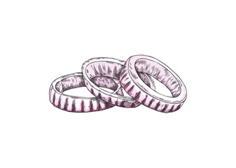 Hand drawn colorful onion rings sketch style, vector illustration