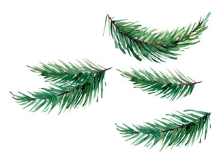 Fototapeta premium Watercolor designer elements set collection of green natural forest pine christmas tree needles branches greenery hand drawn in watercolor style. Decorative winter seasonal editable