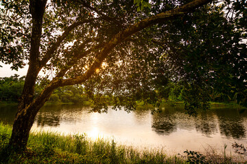 View of landscape nature and river and mountain