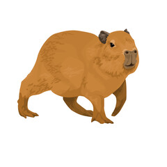 The capybara stands sideways. Wild animals of South America. vector animal