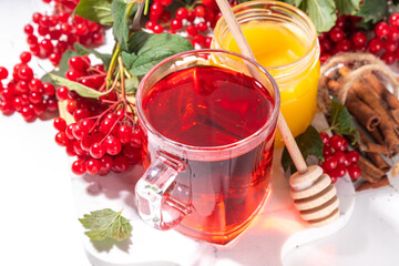 Organic herbal herbal tea, hot autumn drink with fresh viburnum berries. Viburnum tea with honey and cinnamon