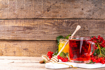 Organic herbal herbal tea, hot autumn drink with fresh viburnum berries. Viburnum tea with honey...