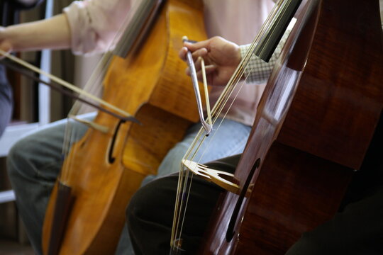 ヴィオラ・ダ・ガンバ