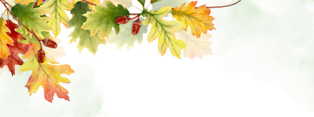Fototapeta premium Watercolor autumn abstract background with seasonal leaves