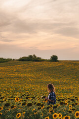 Fototapeta premium Woman farmer with a tablet in her hands standing in the middle of a sunflowers field checking checking quality harvest. Smart farming. Agriculture technologies