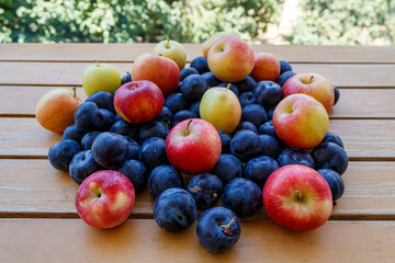 Pile of ripe blue plums and res yellow apples on wooden garden table