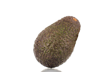 One ripe organic avocado, closeup, isolated on white background.