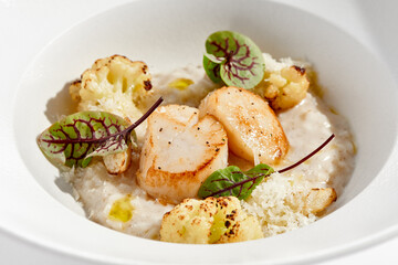 Delicious creamy risotto with sea scallop and cauliflower. Elegant main course with seafood on white plate. Grilled scallop with cauliflower and creamy rice. Seafood risotto with scallops.