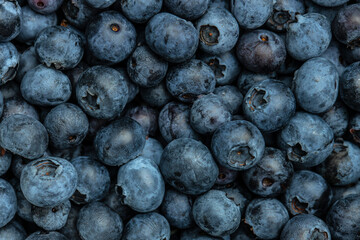 blueberries background. banner, menu, recipe place for text, top view
