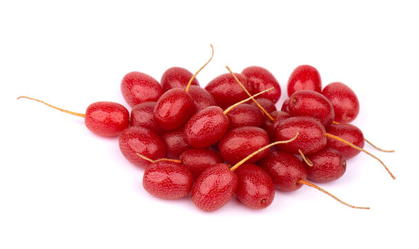 Elaeagnus multiflora isolated on white background. Cherry elaeagnus, cherry silverberry, goumi or gumi berry.