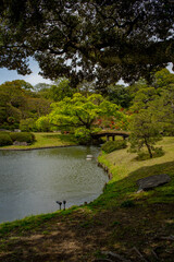 昼下がりの静かな庭園