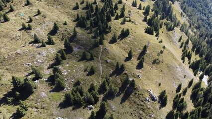 paesaggi montagna natura fiori alberi cielo verde