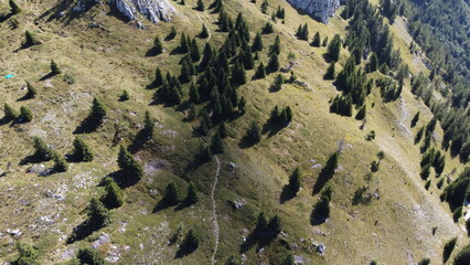paesaggi montagna natura fiori alberi cielo verde