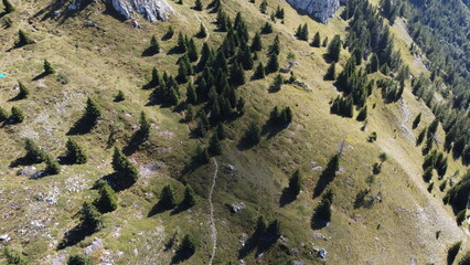 paesaggi montagna natura fiori alberi cielo verde