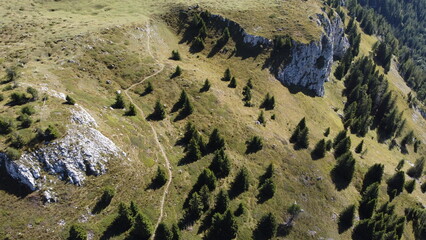 the texture of the sand