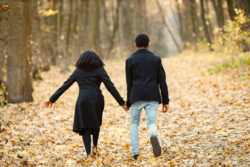 Loving black couple walking in park and enjoying autumn day