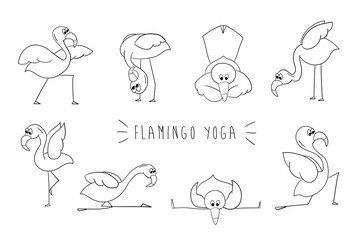 Flamingo yoga. Set of cartoon flamingos isolated on white background. Vector illustration. Outline, coloring book