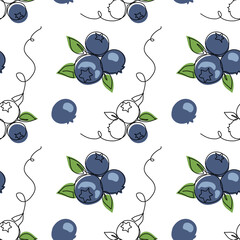 Blueberry,bilberry vector pattern. One continuous line art drawing of blueberry pattern