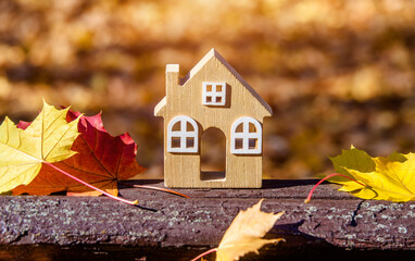 The symbol of the house stands among the fallen autumn leaves
