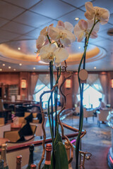 Elegant Art Deco interior design furnishing bar lounge area onboard ocean liner cruiseship cruise...