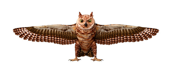 3D Rendering Great Horned Owl on White