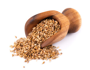 Utsho suneli seeds in wooden scoop, isolated on white background. Trigonella caerulea or blue fenugreek. Top view.