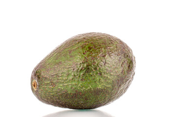 One ripe organic avocado, closeup, isolated on white background.