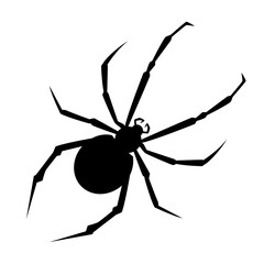 Spider Silhouette. Black Widow Silhouette. Halloween sticker. Vector illustration