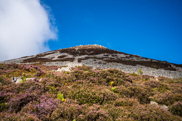landscape with sky