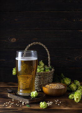 High transparent bokul with light golden beer on a wooden board. A basket with hop cones in the background. Barley grains in a wooden bowl on the table. Dark wooden background