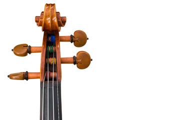 dettaglio di collo di violino con tastiera, piroli e ricciolo in evidenza su sfondo trasparente